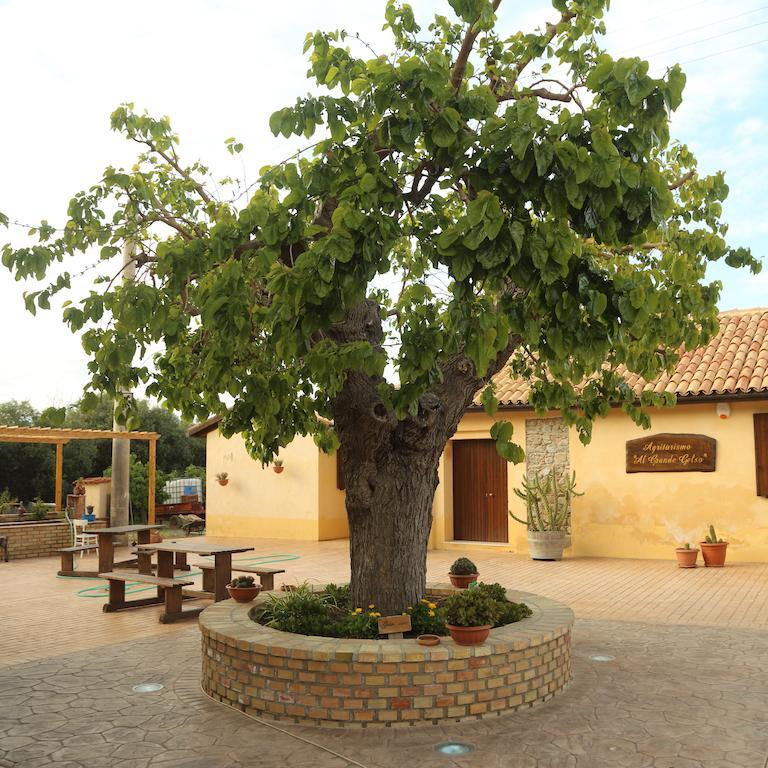 Al Grande Gelso Villa Cariati Ngoại thất bức ảnh